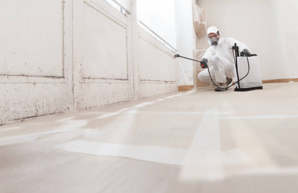 24/7 Emergency Mold Removal experts in Gaithersburg, MD
